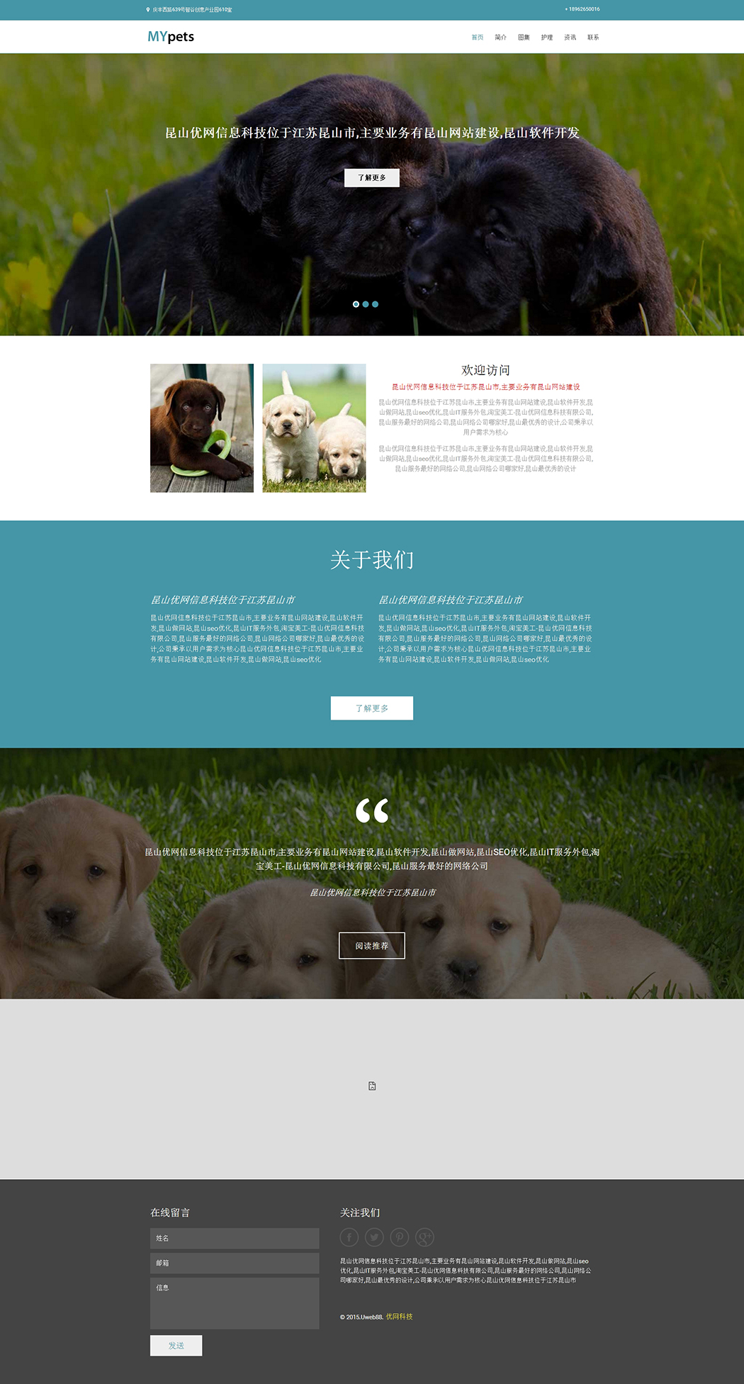 宠物05-宠物医院网站